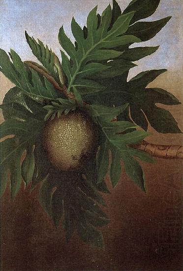 Hawaiian Breadfruit, oil on canvas painting by Persis Goodale Thurston Taylor, c. 1890, unknow artist